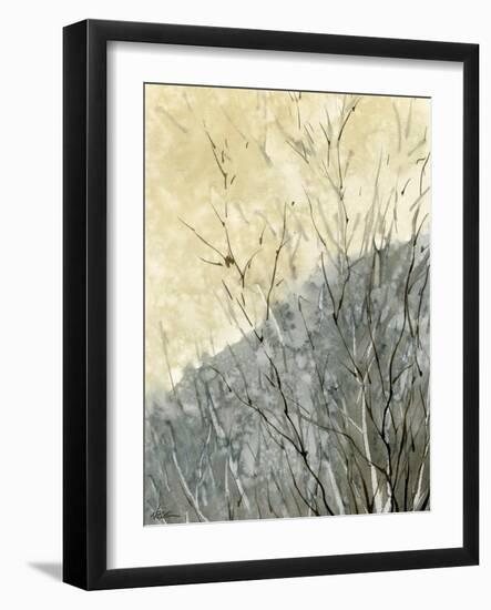 Gold Ridge-null-Framed Giclee Print