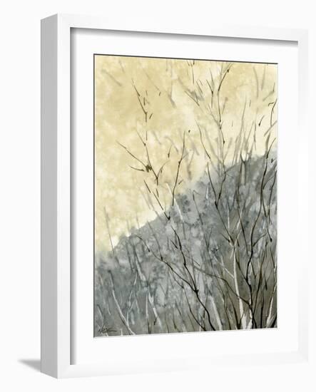 Gold Ridge-null-Framed Giclee Print