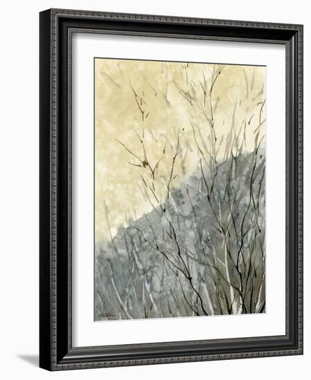 Gold Ridge-null-Framed Giclee Print