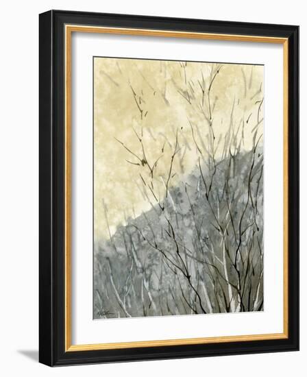 Gold Ridge-null-Framed Giclee Print