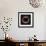 Gold Ring, from Cerveteri-null-Framed Giclee Print displayed on a wall