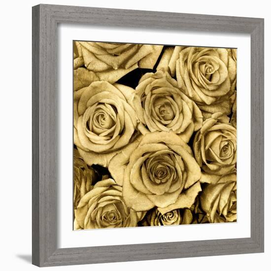 Gold Roses-Kate Bennett-Framed Art Print