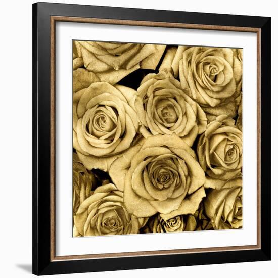 Gold Roses-Kate Bennett-Framed Art Print