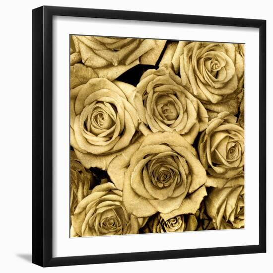 Gold Roses-Kate Bennett-Framed Art Print