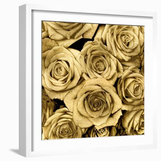 Gold Roses-Kate Bennett-Framed Art Print