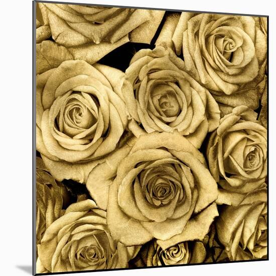 Gold Roses-Kate Bennett-Mounted Art Print