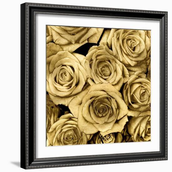 Gold Roses-Kate Bennett-Framed Art Print