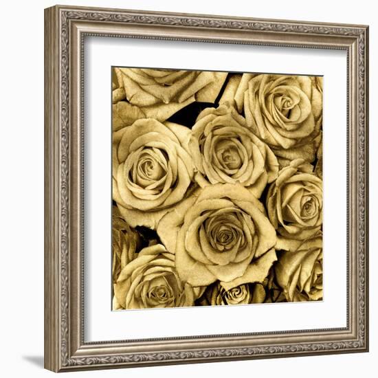 Gold Roses-Kate Bennett-Framed Art Print