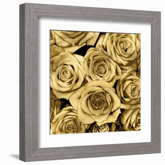 Gold Roses-Kate Bennett-Framed Art Print