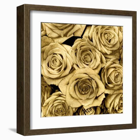 Gold Roses-Kate Bennett-Framed Art Print