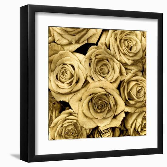 Gold Roses-Kate Bennett-Framed Art Print