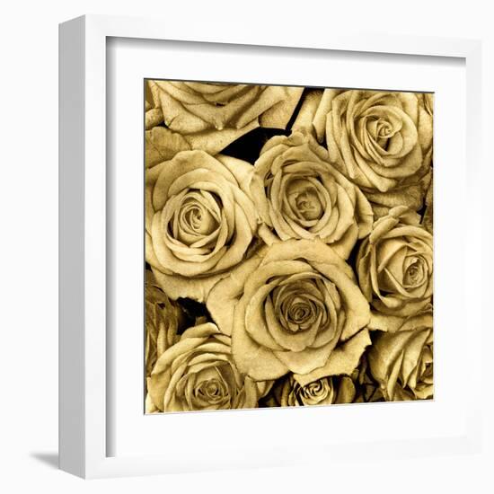 Gold Roses-Kate Bennett-Framed Art Print