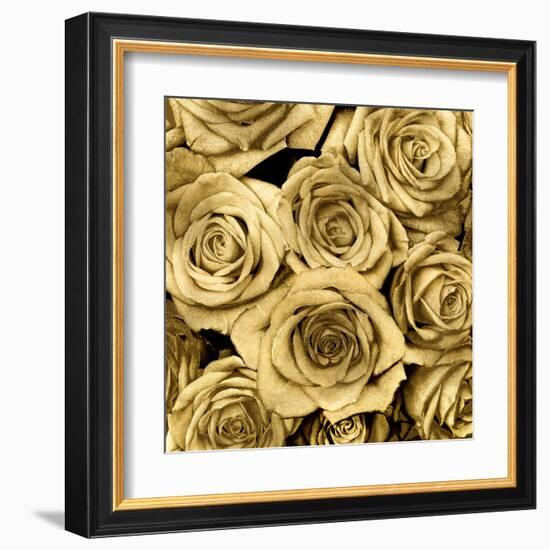 Gold Roses-Kate Bennett-Framed Art Print