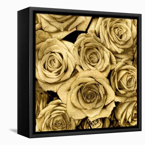 Gold Roses-Kate Bennett-Framed Stretched Canvas