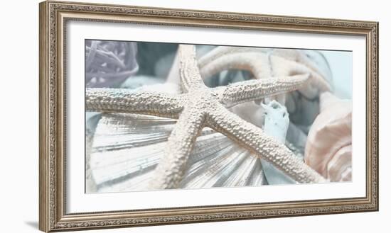 Gold Seashells I-Susan Bryant-Framed Photographic Print