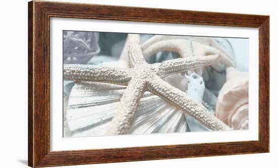 Gold Seashells I-Susan Bryant-Framed Photographic Print