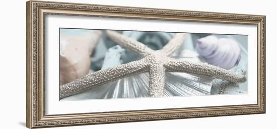 Gold Seashells II-Susan Bryant-Framed Photographic Print