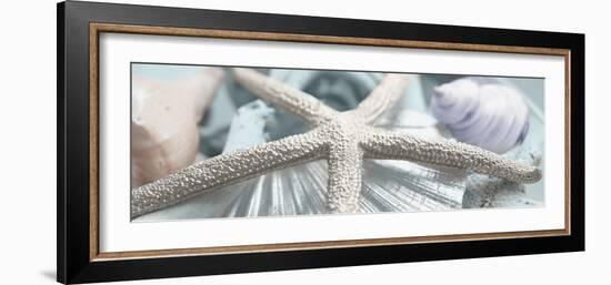 Gold Seashells II-Susan Bryant-Framed Photographic Print