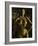 Gold Series Laura Stone-Daniel Stanford-Framed Art Print