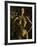 Gold Series Laura Stone-Daniel Stanford-Framed Art Print