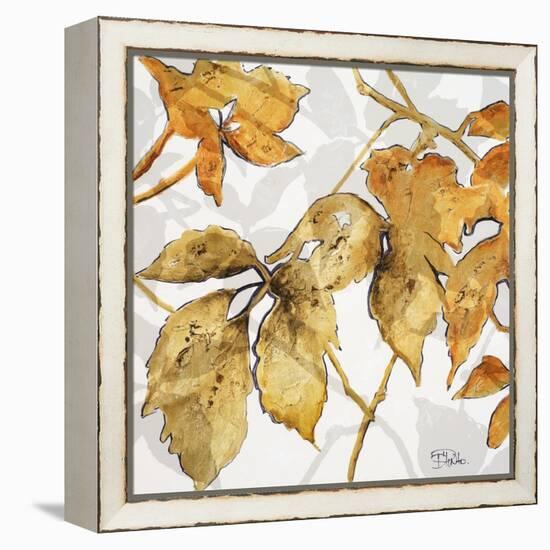 Gold Shadows II-Patricia Pinto-Framed Stretched Canvas