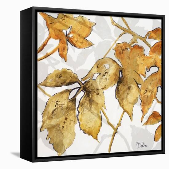 Gold Shadows II-Patricia Pinto-Framed Stretched Canvas