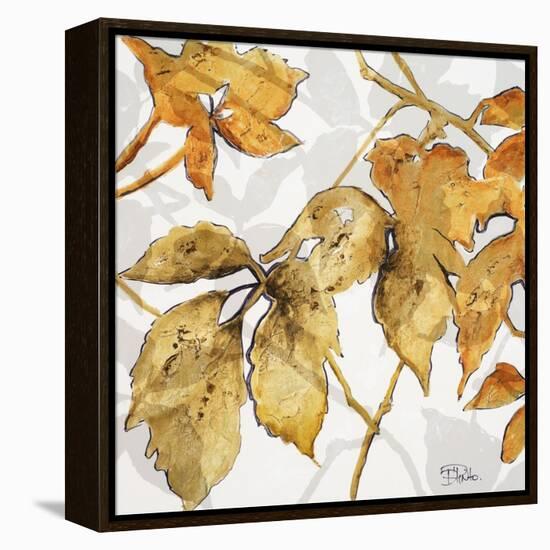 Gold Shadows II-Patricia Pinto-Framed Stretched Canvas