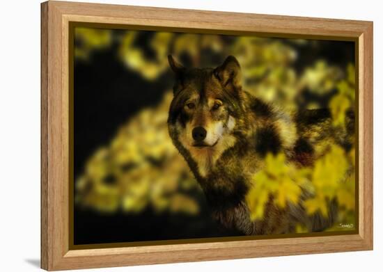 Gold Shadows-Gordon Semmens-Framed Premier Image Canvas