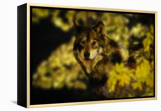 Gold Shadows-Gordon Semmens-Framed Premier Image Canvas