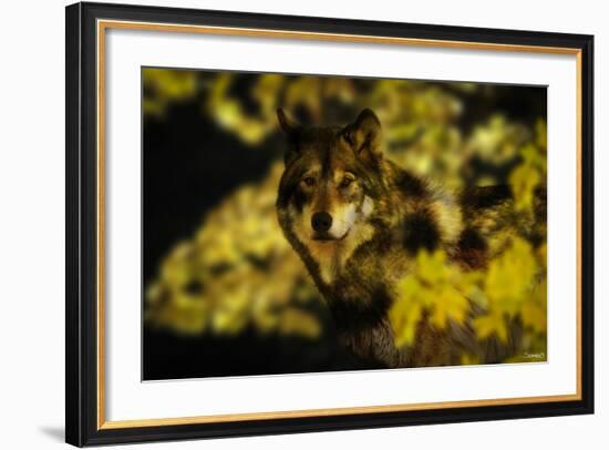 Gold Shadows-Gordon Semmens-Framed Photographic Print