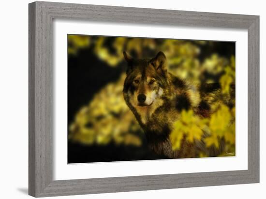 Gold Shadows-Gordon Semmens-Framed Photographic Print