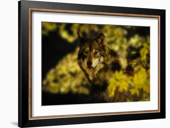 Gold Shadows-Gordon Semmens-Framed Photographic Print