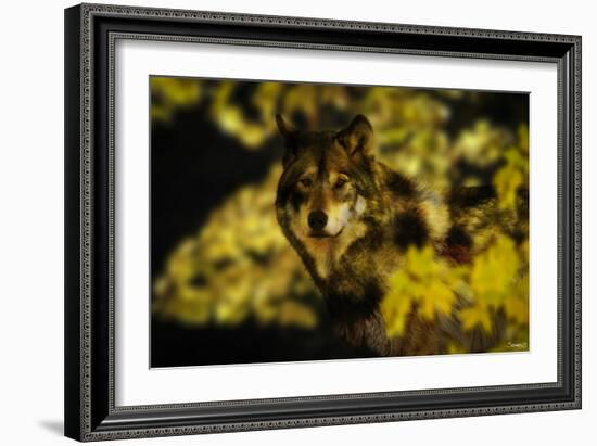 Gold Shadows-Gordon Semmens-Framed Photographic Print