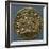 Gold Solidus of Sicone I, Prince of Benevento, Recto, Lombard Coins, 9th Century-null-Framed Giclee Print