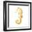 Gold Square Seahorse II-Julie DeRice-Framed Art Print