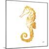 Gold Square Seahorse II-Julie DeRice-Mounted Art Print