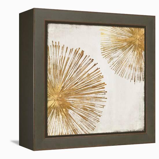 Gold Star I-PI Studio-Framed Stretched Canvas