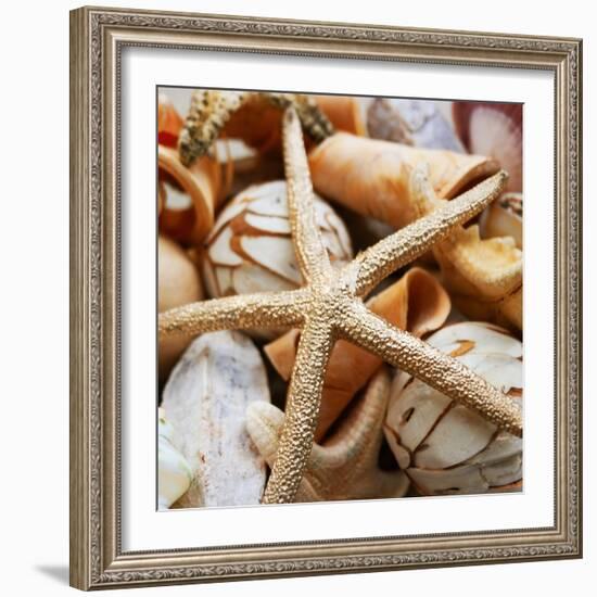 Gold Starfish I-Susan Bryant-Framed Photographic Print