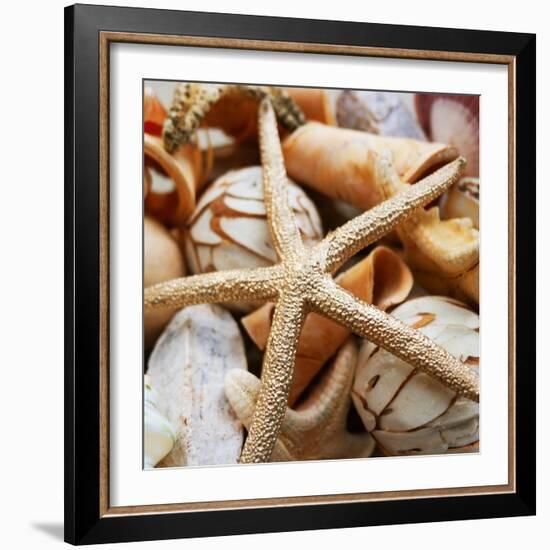 Gold Starfish I-Susan Bryant-Framed Photographic Print