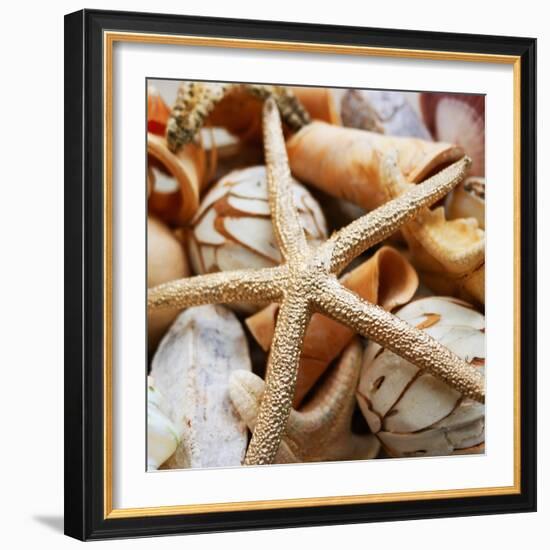 Gold Starfish I-Susan Bryant-Framed Photographic Print