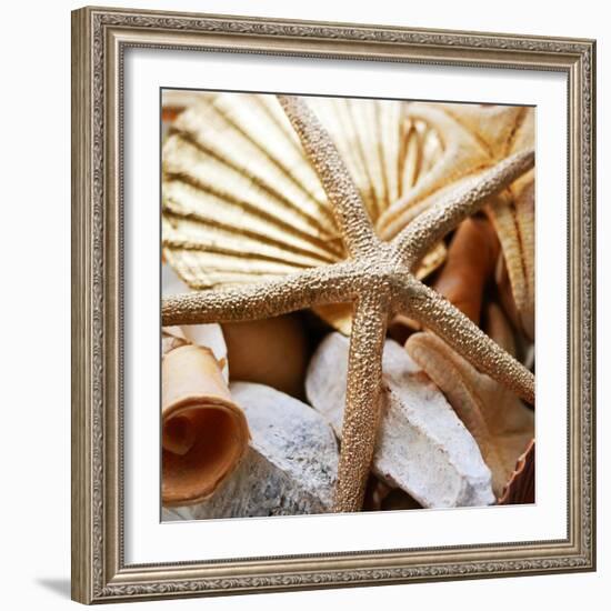 Gold Starfish II-Susan Bryant-Framed Photographic Print