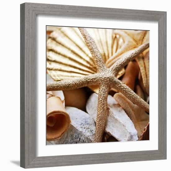 Gold Starfish II-Susan Bryant-Framed Photographic Print