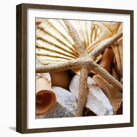 Gold Starfish II-Susan Bryant-Framed Photographic Print