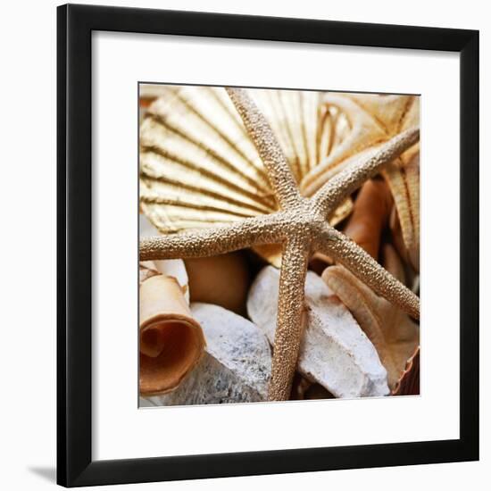 Gold Starfish II-Susan Bryant-Framed Photographic Print