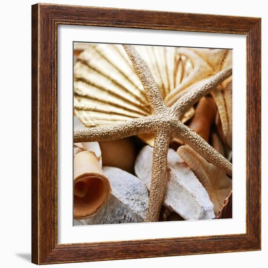 Gold Starfish II-Susan Bryant-Framed Photographic Print