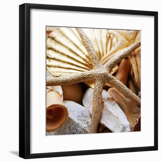 Gold Starfish II-Susan Bryant-Framed Photographic Print