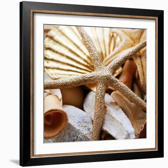 Gold Starfish II-Susan Bryant-Framed Photographic Print