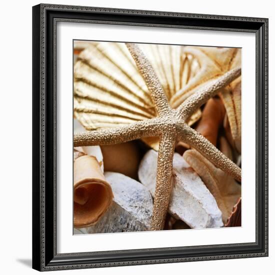 Gold Starfish II-Susan Bryant-Framed Photographic Print