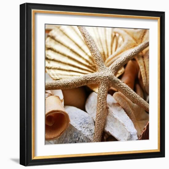 Gold Starfish II-Susan Bryant-Framed Photographic Print