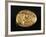 Gold Stater of King Croesus Depicting Lion Facing Bull, Greek Coins, 7th Century BC-null-Framed Giclee Print